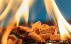 progres.nrw facht Pelletsfeuer an