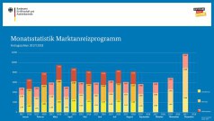 BAFA-Zahlen im August 2018