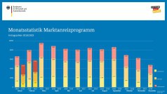 BAFA-Zahlen im Februar 2019