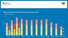 BAFA-Zahlen im März 2019