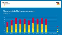BAFA-Zahlen im Oktober 2019