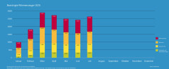 BAFA-Monatsstatistik Juli 2020