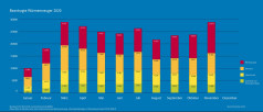 BAFA-Monatsstatistik November 2020