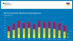Antragszahlen 2019