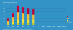 BAFA-Monatsstatistik Juni 2020