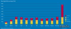 BAFA-Monatsstatistik Dezember 2020