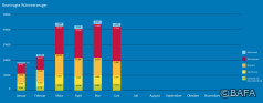 BAFA-Monatsstatistik Juni 2022