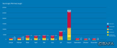 BAFA-Monatsstatistik November 2022