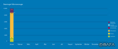BAFA-Monatsstatistik Januar 2023