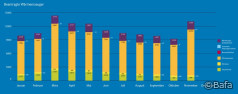 Bafa-Monatsstatistik November 2023