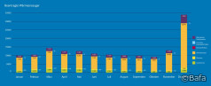 Bafa-Monatsstatistik Dezember 2023