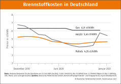 Deutscher Pelletspreis im Januar 2021