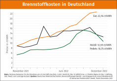 Deutscher Pelletspreis im Dezember 2022
