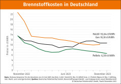 Deutscher Pelletspreis im Dezember 2023