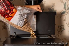Moderne Einzelraumfeuerungen: Pelletkaminofen