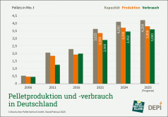 Deutsche Pelletsproduktion 2024