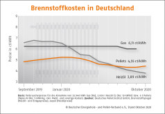 Deutscher Pelletspreis im Oktober 2020