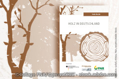 Broschüre „Holz in Deutschland“