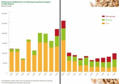Antragszahlen Marktanreizprogramm 