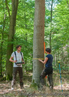 Wälder werden vermessen