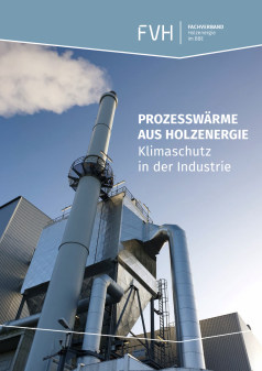 Broschüre "Prozesswärme aus Holzenergie"
