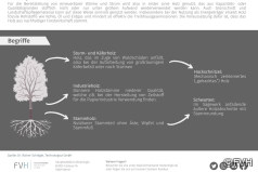 Infoblatt über Holzsortimente