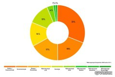 Markt für Contracting 2023: eingesetzte EE