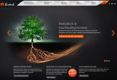 Screenshot von www.biotech-heizung.com