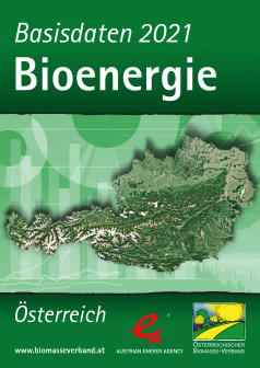 Basisdaten Bioenergie 2021