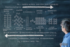 Kurzfilm: Experte erklärt Photosynthese