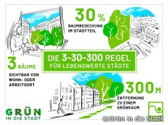 Stadtgrün: 3-30-300-Regel gegen Hitze