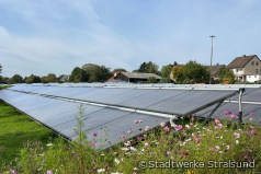 Stadtwerke Stralsund setzen auf Solarthermie