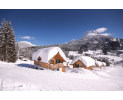 Winterurlaub in Alpenoark Altaussee